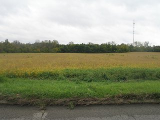 28.46 acres with 23.44 acres tillable with the balance in woods, ditch and road frontage on E. 32nd Street.  The property is located behind Lowe's on E. 32nd Street and has both city sewer and water, as well as 3 Phase Power.  The property is accessible from E. 34th Street.  - 28.46 Acres with 23.44 Acres Tillable with the Balance in Woods, Ditch & Road Frontage